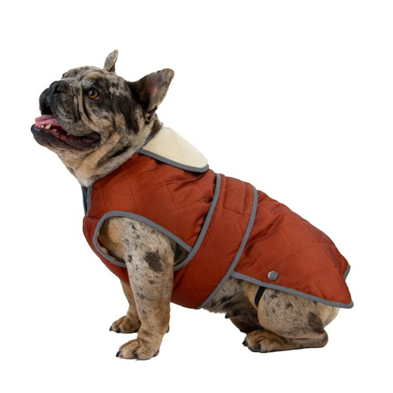 Ancol Heritage Terracotta Quilted Coat