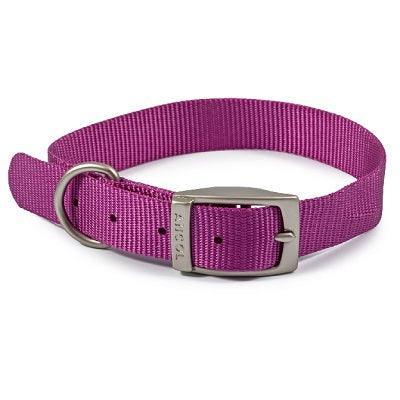 Ancol Viva Buckle Col Purple 35-43cm