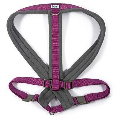 Ancol Viva Pad Harness Prpl 97-130cm